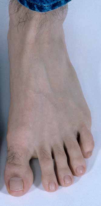 Slender feet long An 18
